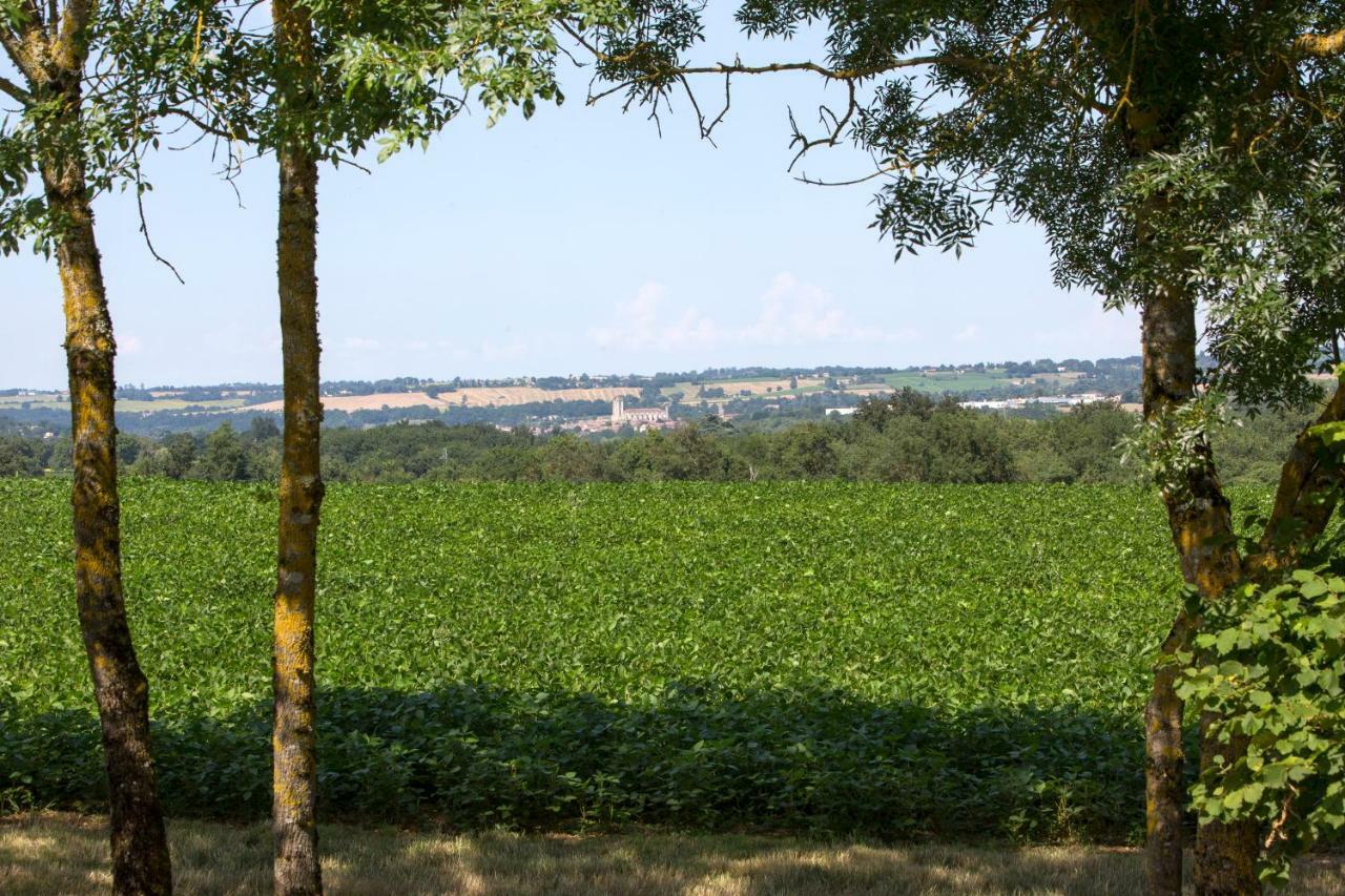 Les Hauts De Condom Appartements Climatises Exterior photo